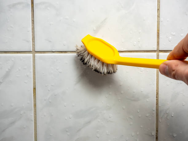 Best Certified Mold Removal  in North Haledon, NJ