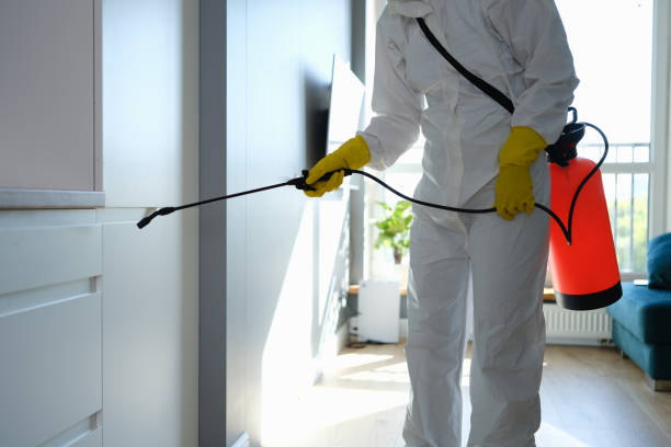 Best Mold Cleaning Services  in North Haledon, NJ