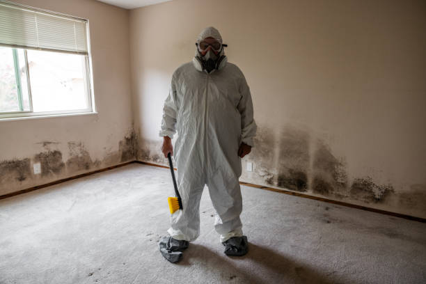 Best Residential Mold Removal  in North Haledon, NJ